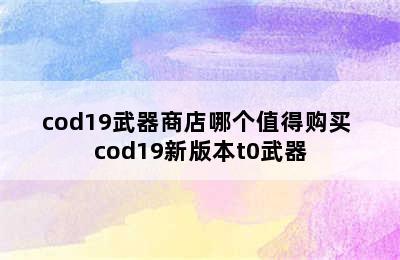 cod19武器商店哪个值得购买 cod19新版本t0武器